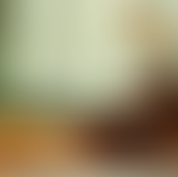 Indigenous Healing Services: Unique Offerings at Anishnawbe H.O.T.R.S.