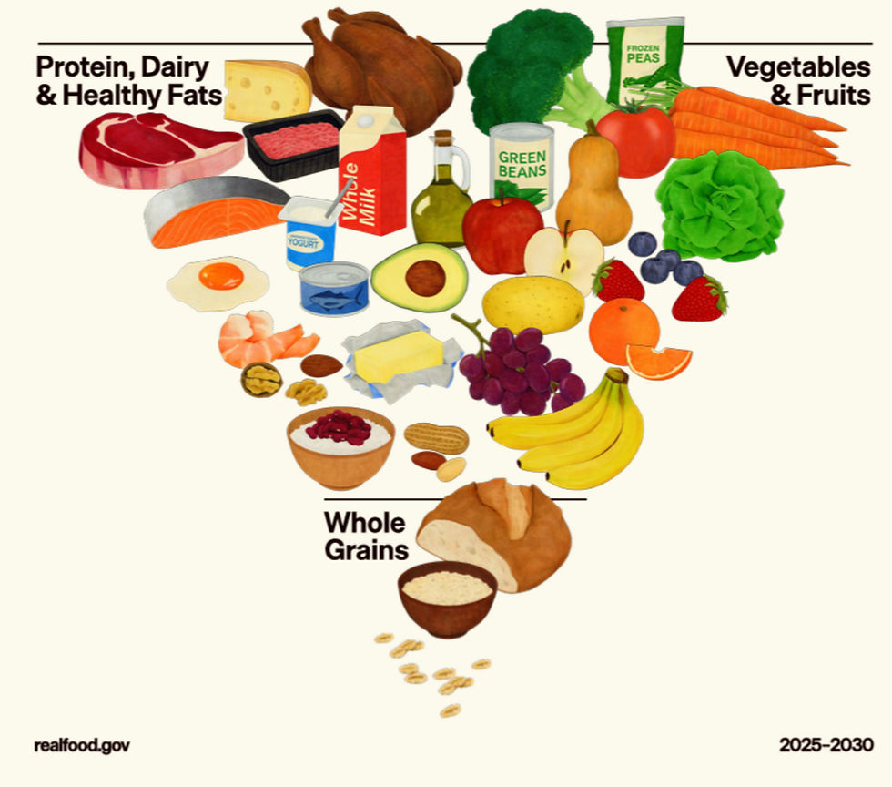 Why We Love The New Food Pyramid Even Though Bread Is At The Bottom (It’s all about balance, Part I.)