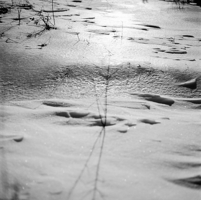 Image 3 (3) copy.jpg