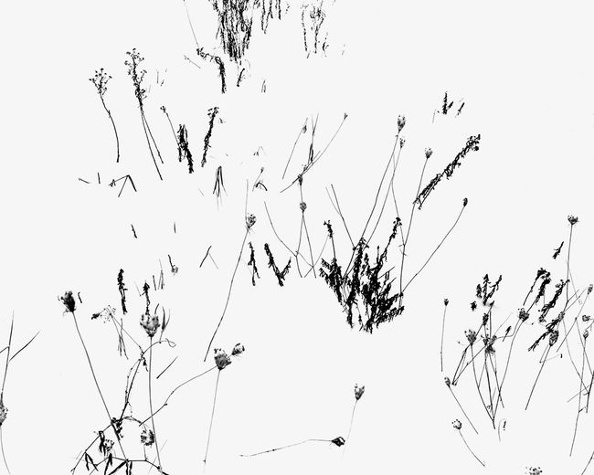 My SilenceII-12.jpg