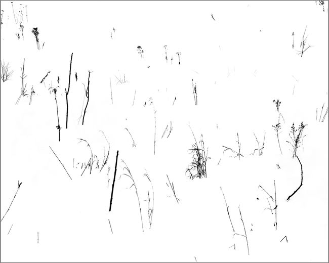 My SilenceII-3.jpg