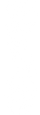 Grafik Holzmaserung