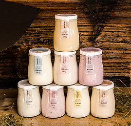 Joghurt