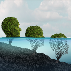 image of brain-01.png