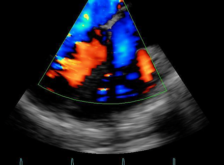 Screen Shot 2022-09-13 at 8.36.31 pm.png