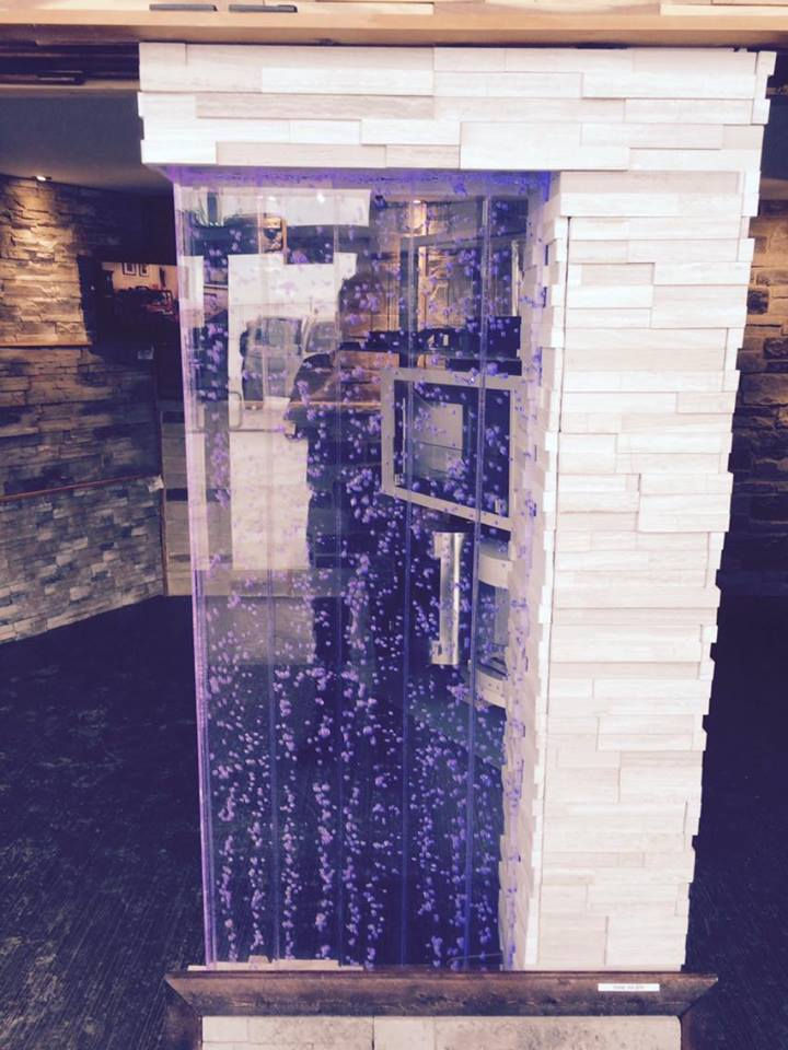 Mur de bulles 24"x 60" à 1199$ tout inclus