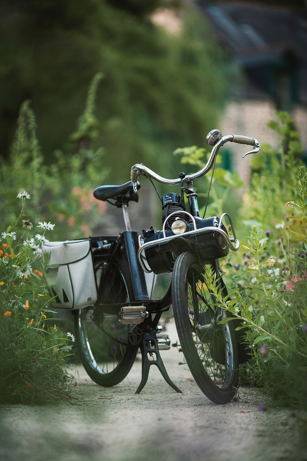 Miniature : Sur les chemins d’antan