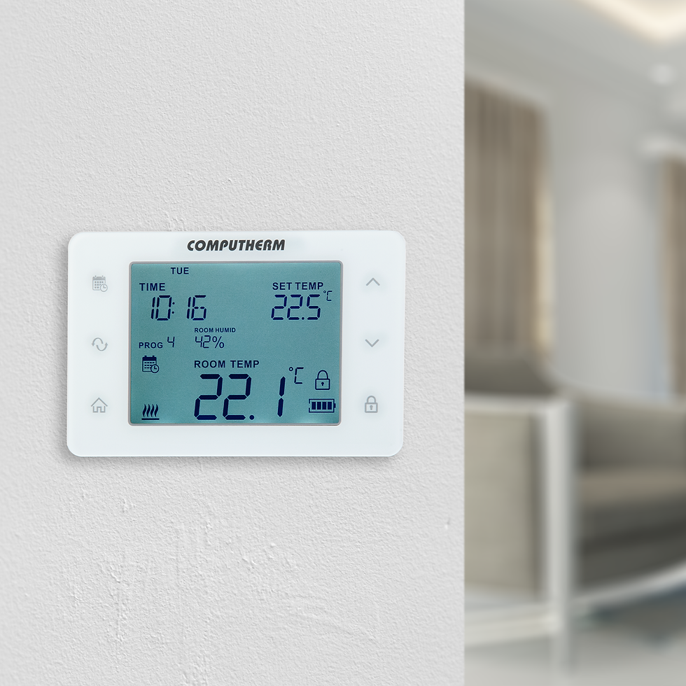 Miniature : Computherm Q20