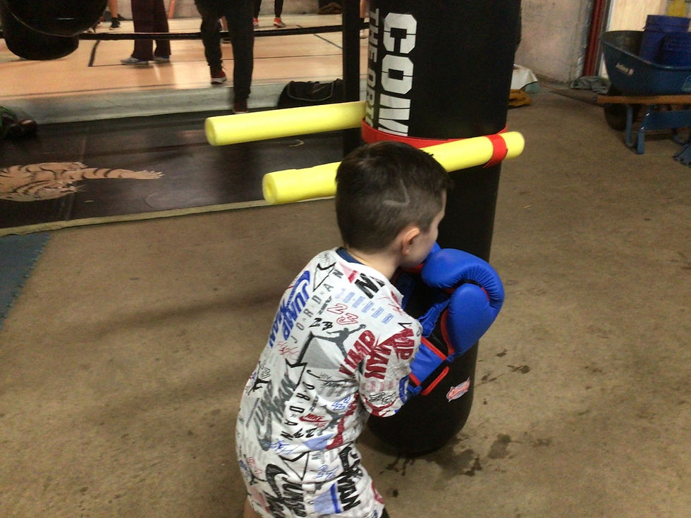 Thumbnail: The Heavy Bag Bully