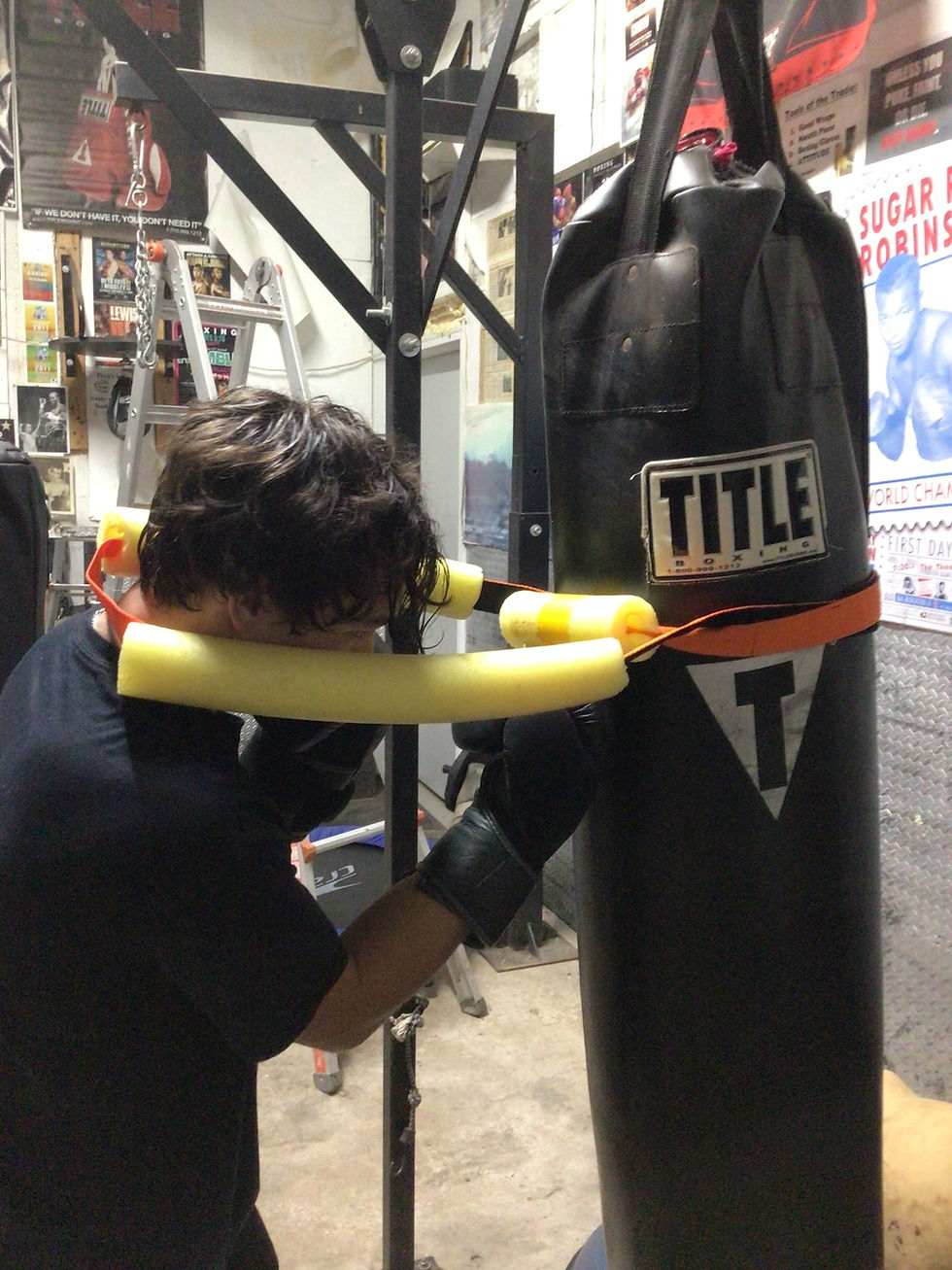 Thumbnail: The Fighters Training Harness Elite