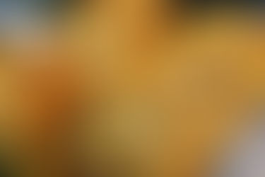 עוגיות שוקוצ'יפס ואגוזים