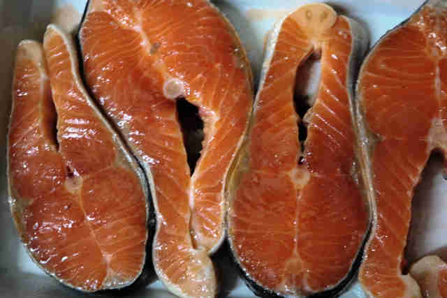 פורל ים נורבגי