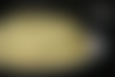 בלינצ'ס גבינה מלוח (עם תרד או פטריות)