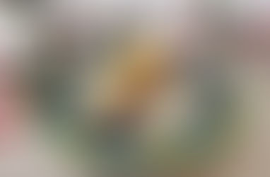 טארט שוקולד-תפוז