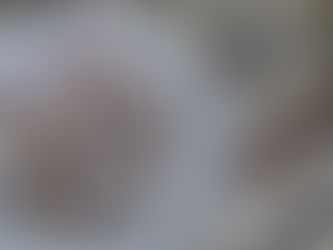 אוזני המן במלית פרג או תמרים