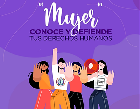 Manual preventivo 2020..png