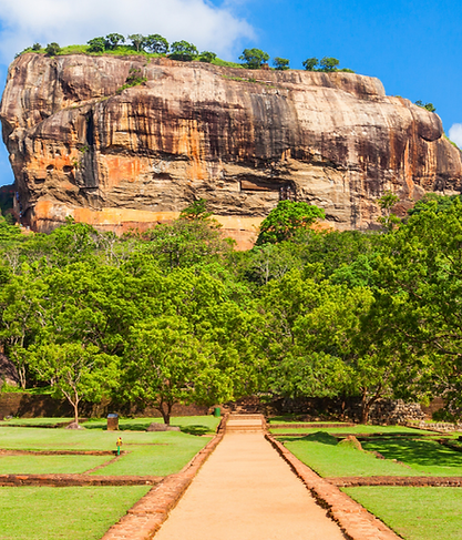 elephant hills Website Banner (1).png