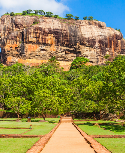 elephant hills Website Banner (1).png