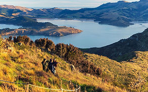 New Zealand is a fantastic destination for all ages. Whether you’re looking to get your adrenalin pumping in Queenstown, enjoy a cruise in the Bay of Islands, climbing the Franz Josef Glacier or just chilling out exploring the many wineries - there is something for all travellers.
