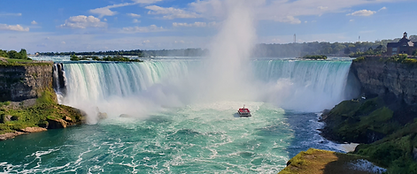 elephant hills Website Banner (1).png