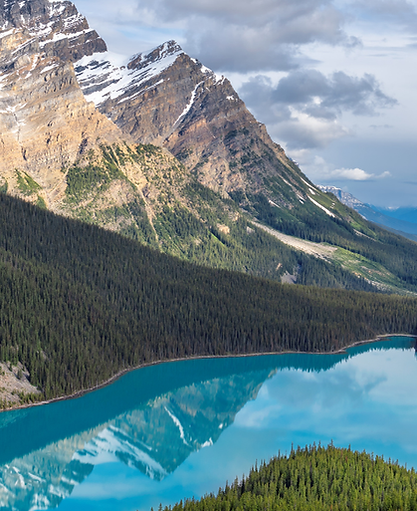 elephant hills Website Banner (1).png