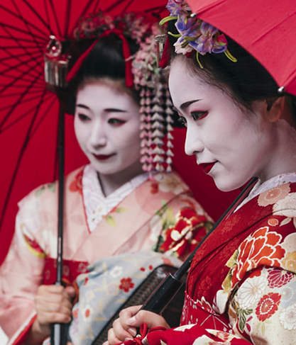 elephant hills Website Banner (1).png