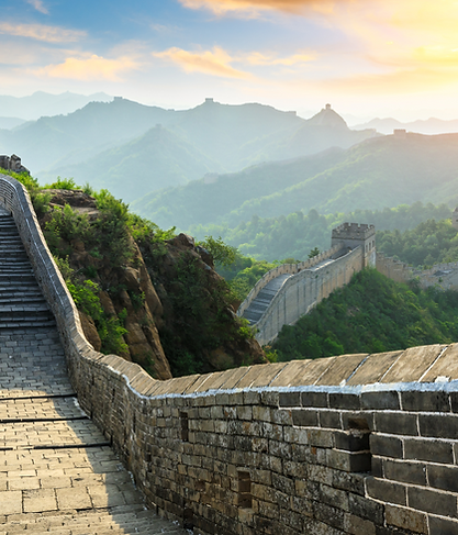 elephant hills Website Banner (1).png