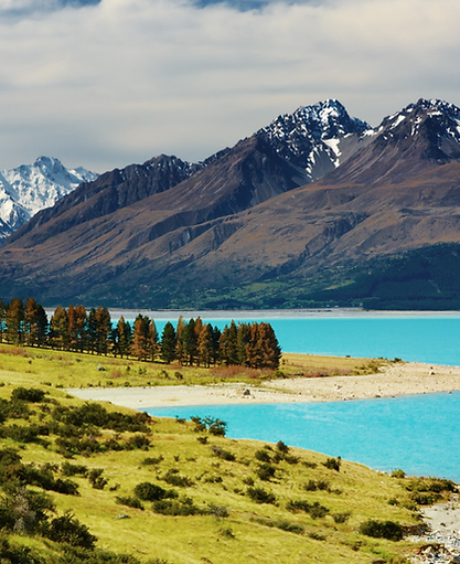 elephant hills Website Banner (1).png