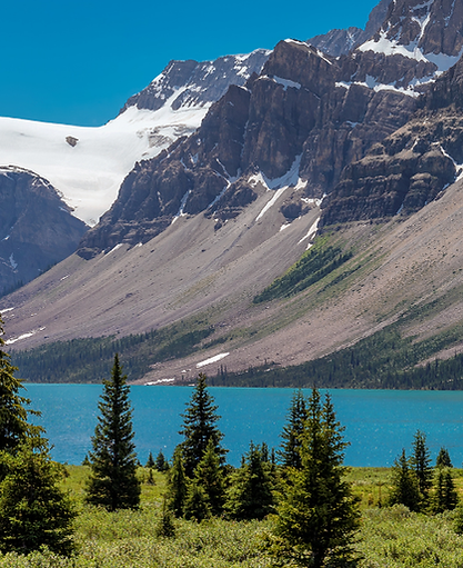 elephant hills Website Banner (1).png