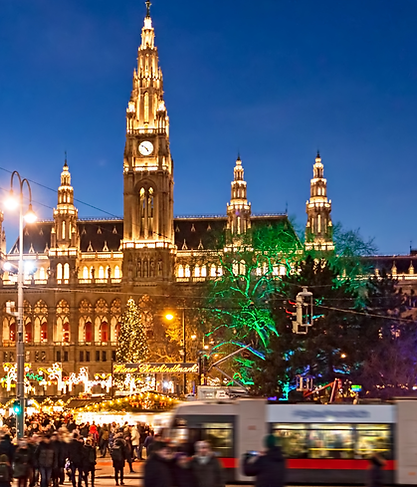 elephant hills Website Banner (1).png