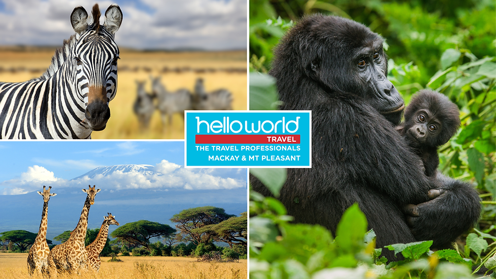 Hello Africa Information Session