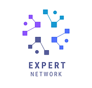Network Expert Logo.png