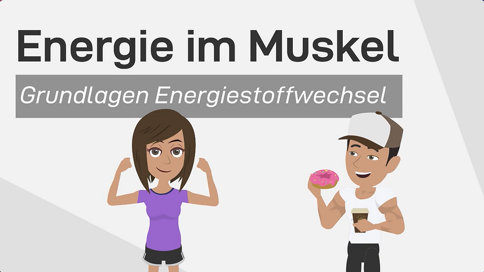 Grundlagen des muskulären Energiestoffwechsels