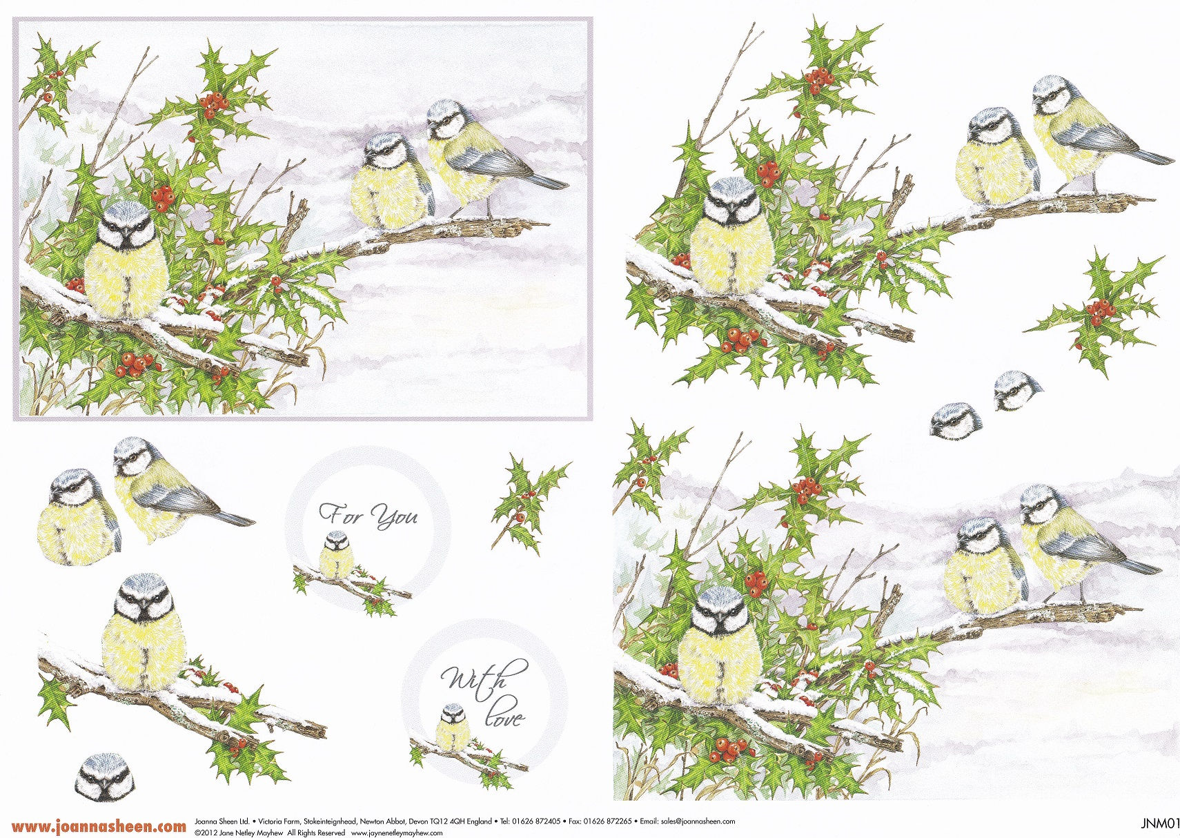 Joanna Sheen - Jayne Netley Mayhew Christmas Decoupage - Festive Birds