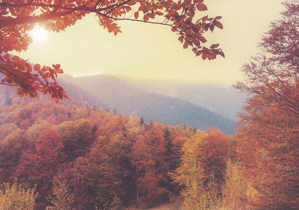 Kanban - Vista Fall Background Card.