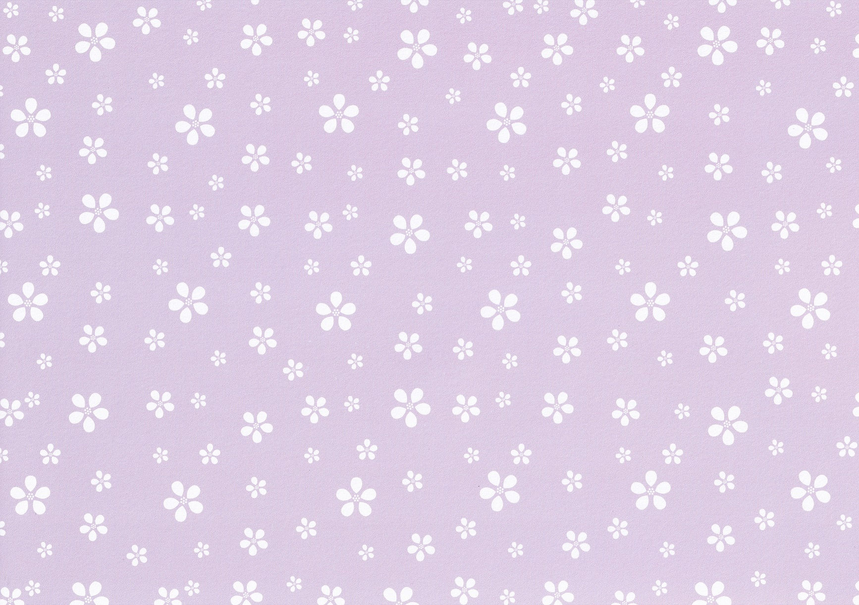 Kanban - Diva Daisy Lilac Background Card