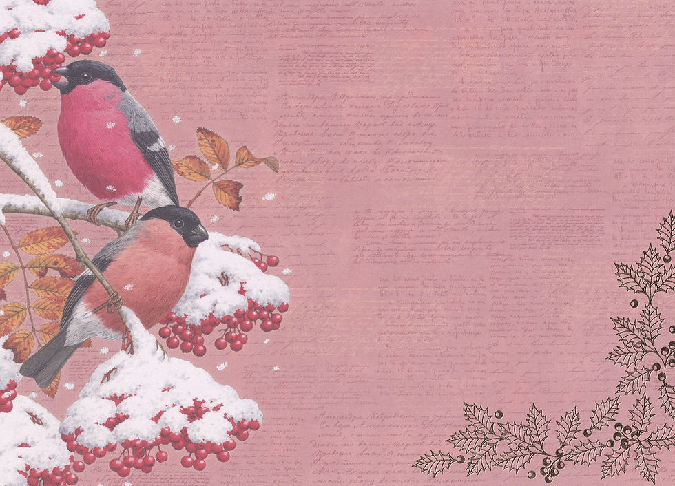 Habico Festive Birdsong Collection - Festive Backing Cards