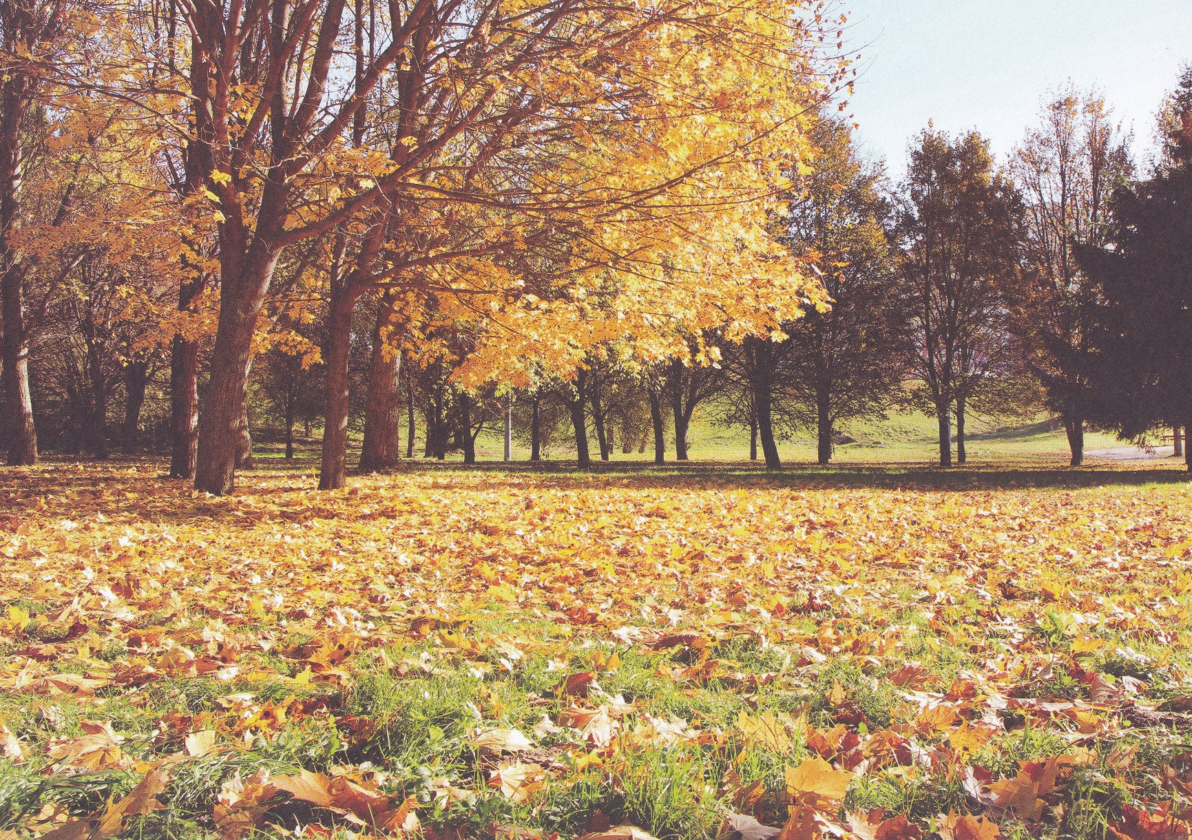 Kanban - Vista Fall Background Card.