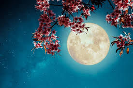 Scorpio Full Moon – 7th May 2020 (17°19’ Scorpio)