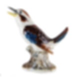 Kookaburra
