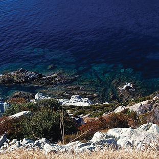 03 WPC blue inspiration.jpg