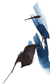 WLP 04 splash.jpg