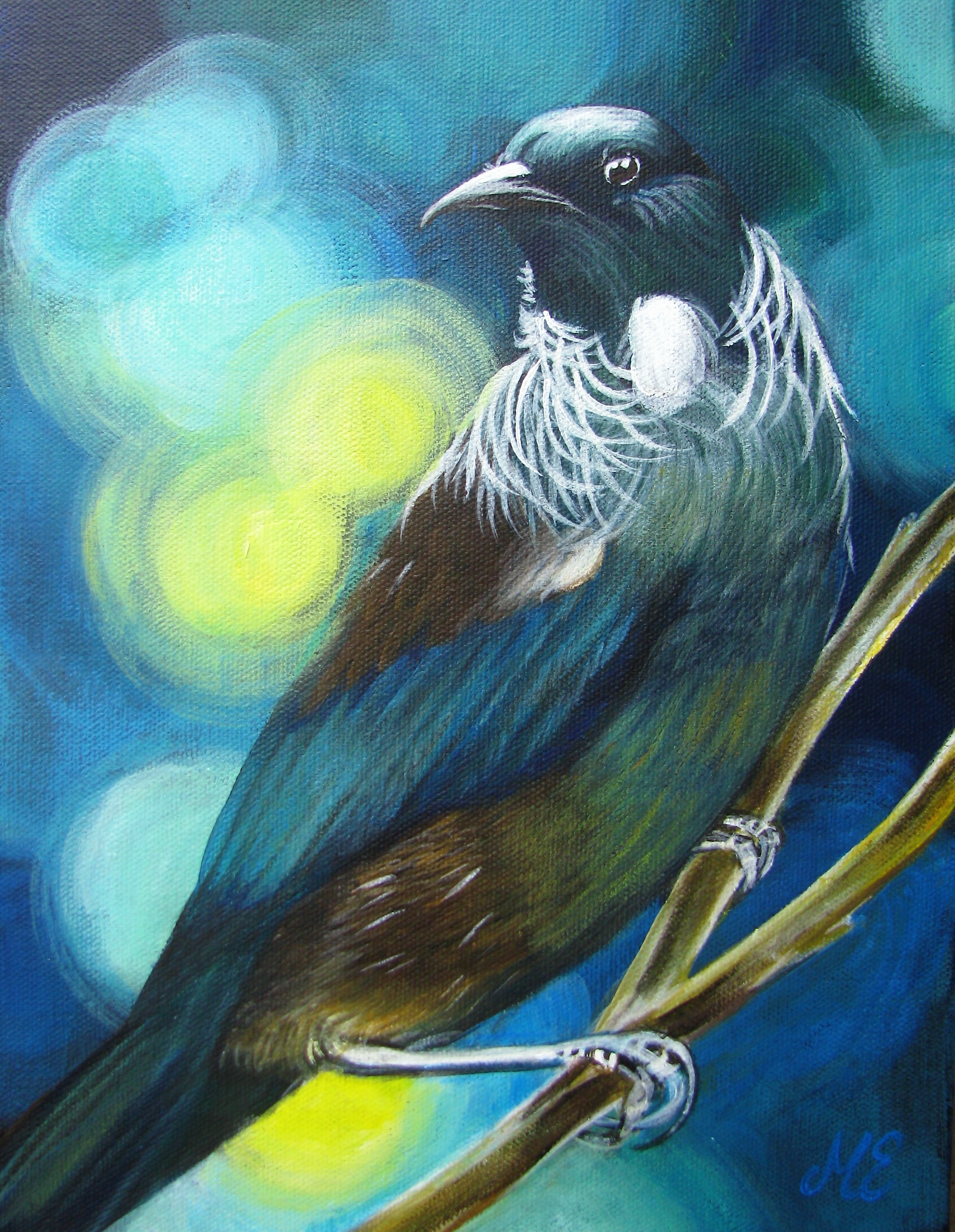 Tui 4