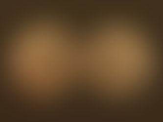 Recently completed gold coins appraisal in Toronto