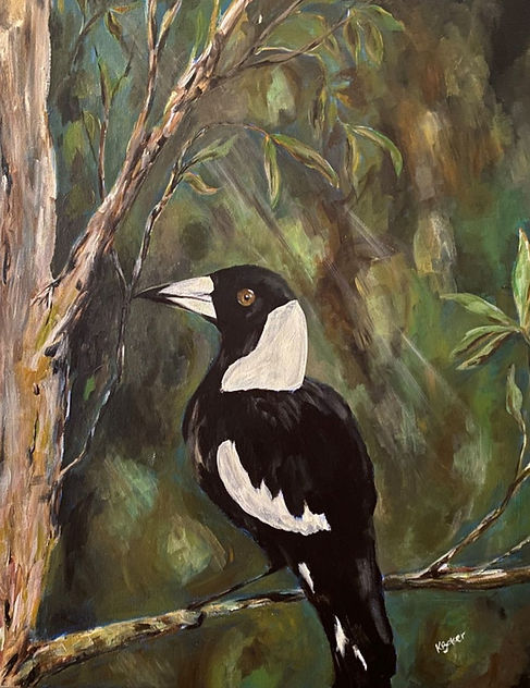 Magpie small_edited.jpg