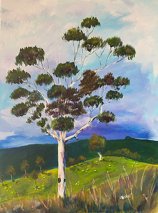 Ghost Gum Tree Painting
