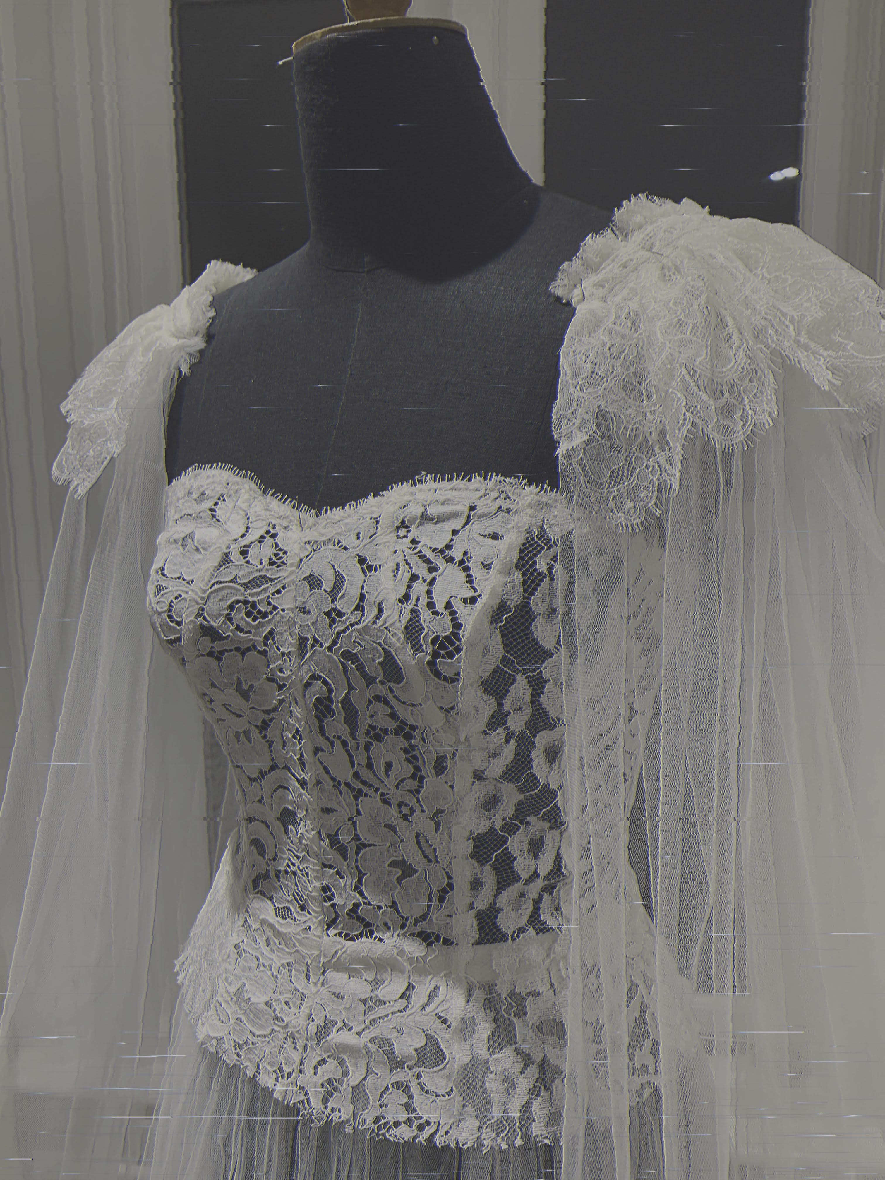 Aster Mix French Lace Panel Bodice