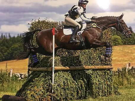 Beau XC.jpeg