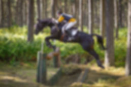 Beau & Duncan xc.jpeg