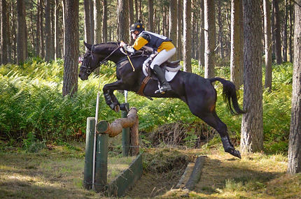 Beau & Duncan xc.jpeg
